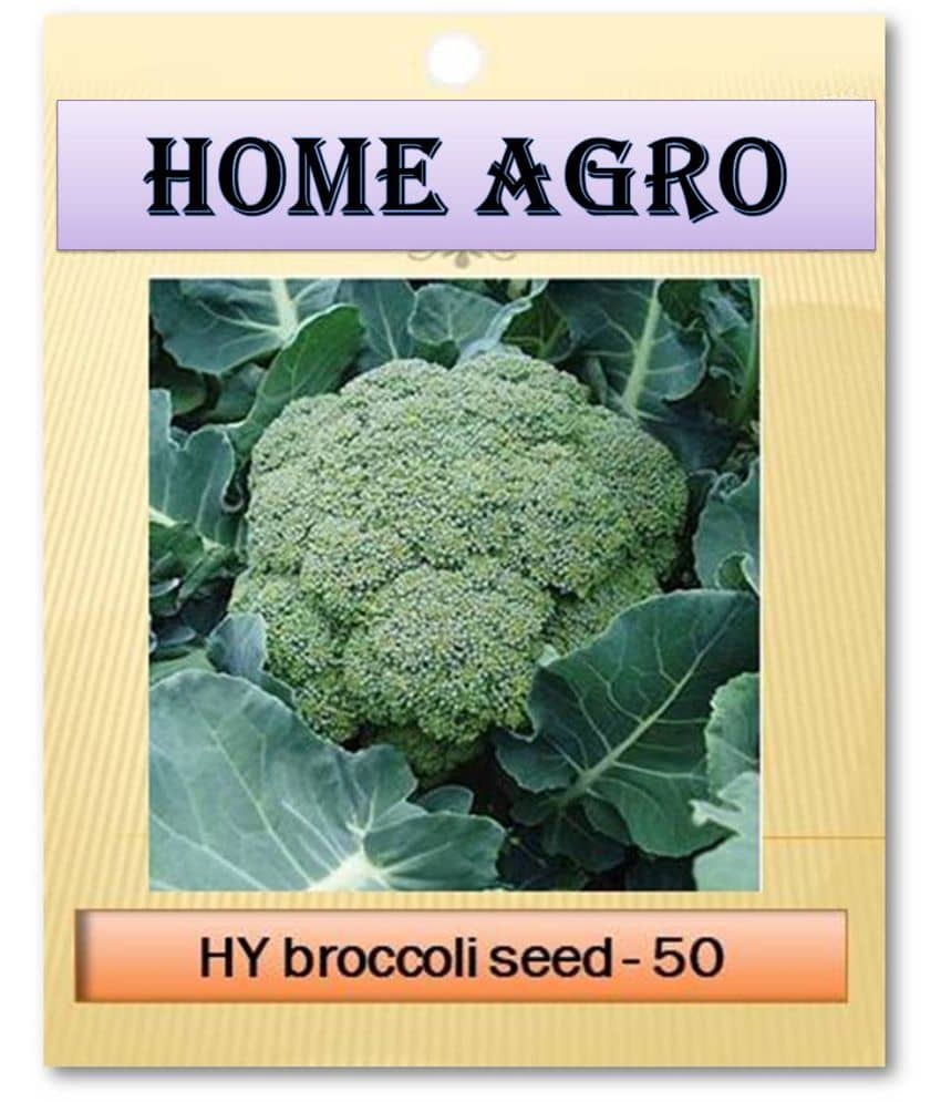 HN organic seed - Vegetable Seeds ( 50 )