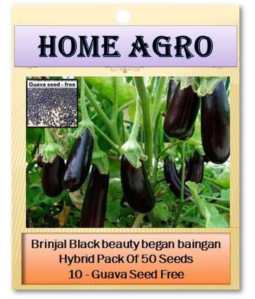 HN organic seed - Vegetable Seeds ( 50 )