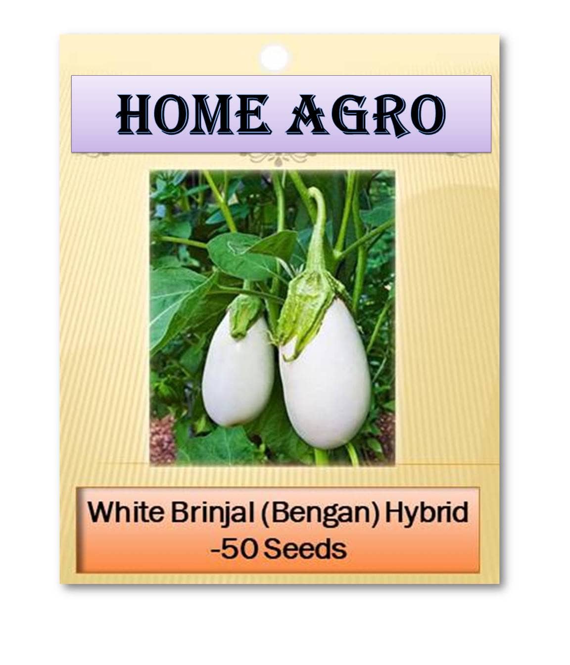 HN organic seed - Vegetable Seeds ( 50 )