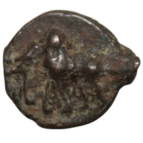 Numiscart - 1/4 Karshapana 1 Numismatic Coins Numiscart - 1/4 Karshapana 1 Numismatic Coins