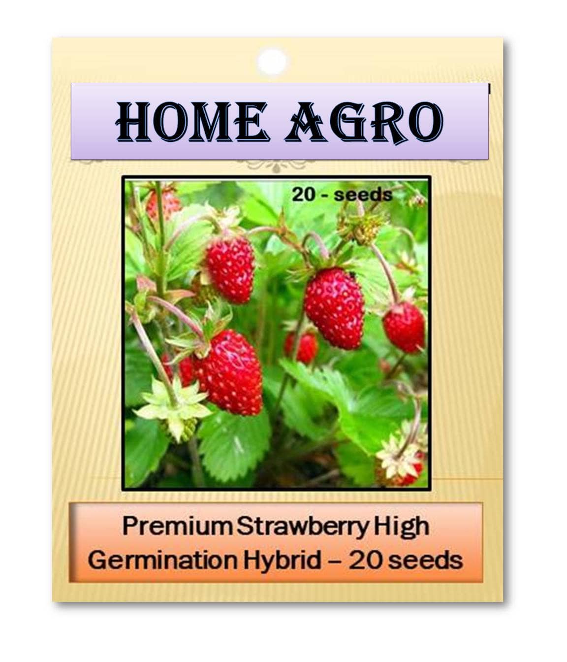 homeagro - Fruit Seeds ( 20 )