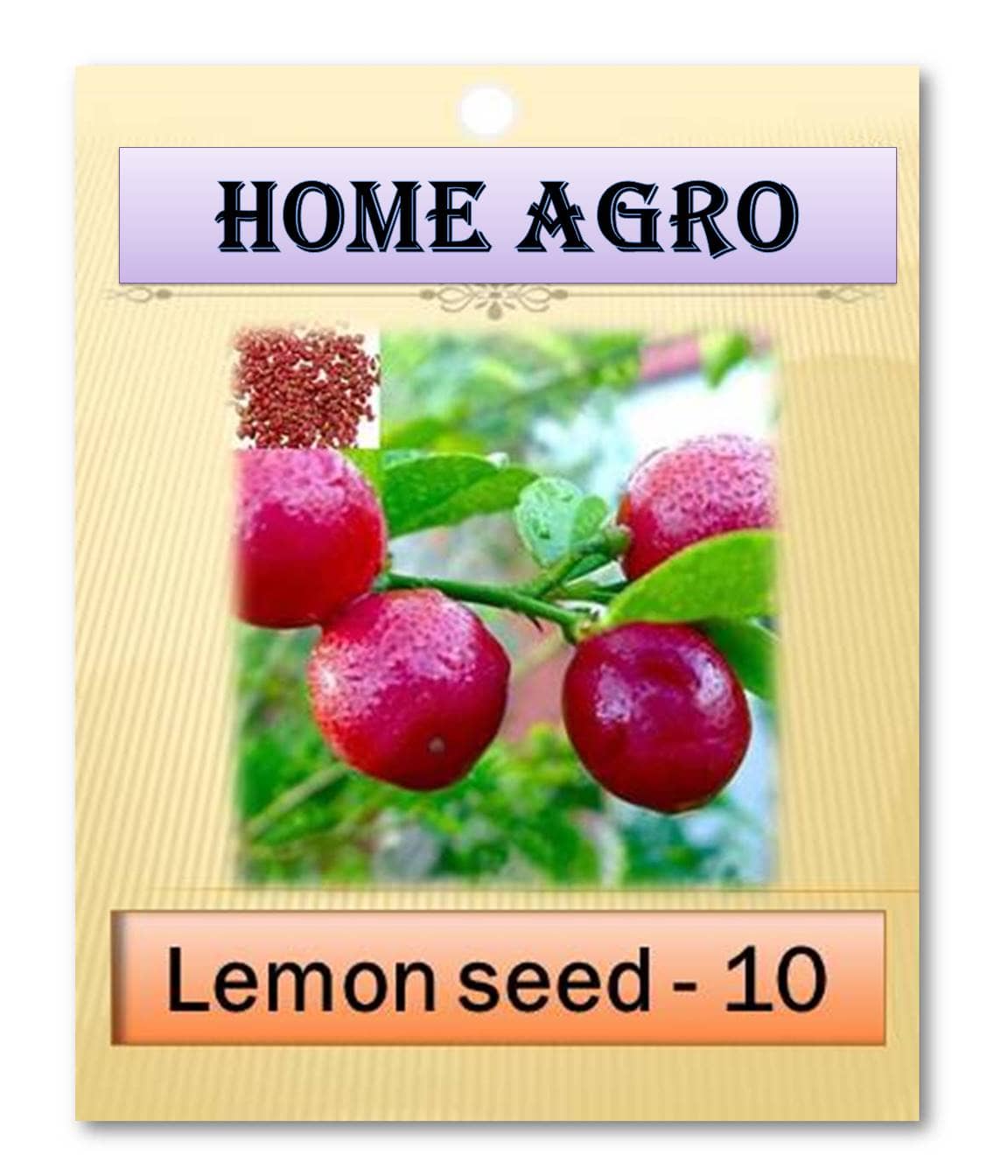 homeagro - Vegetable Seeds ( 10 )