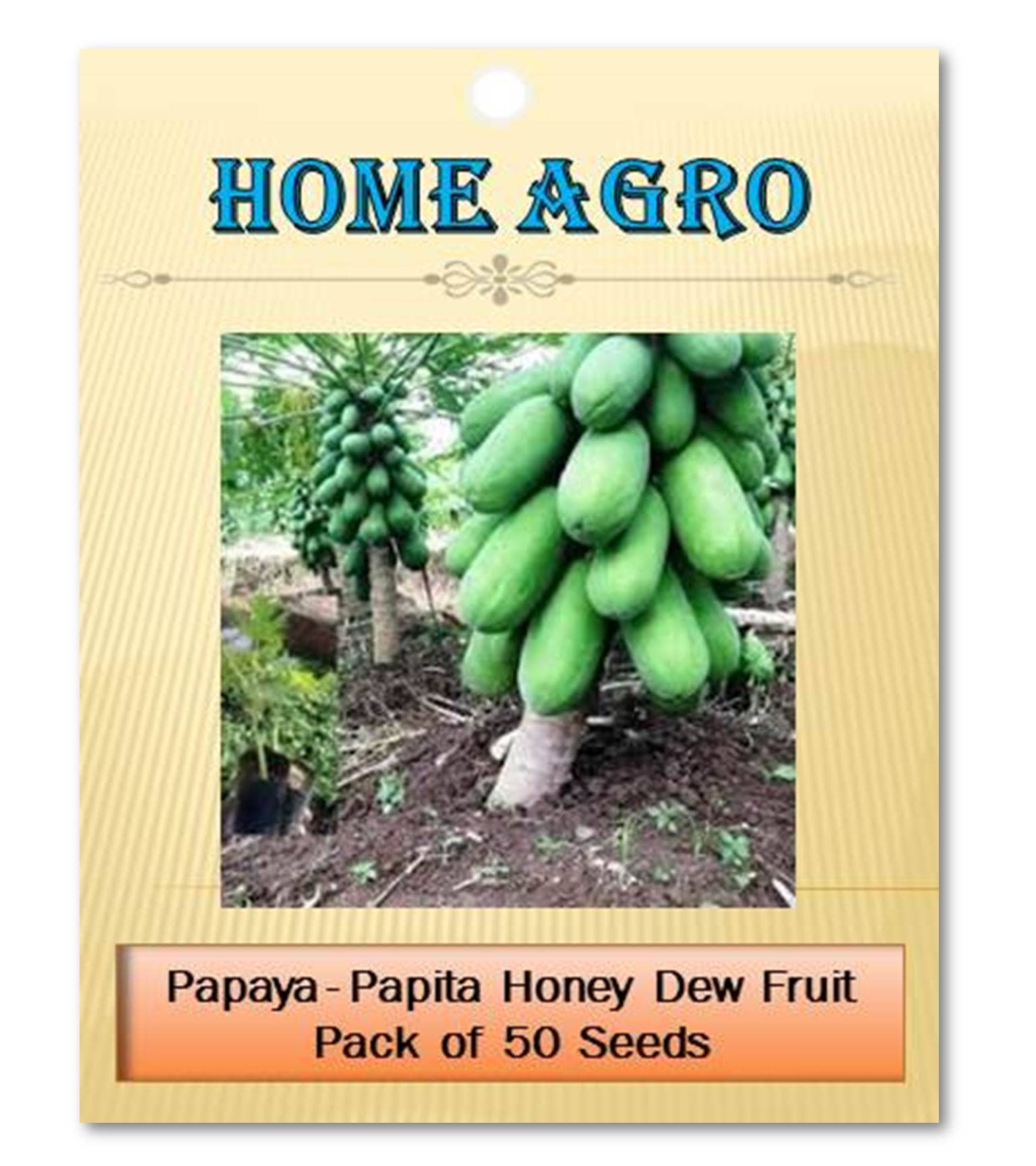 homeagro - Fruit Seeds ( 50 - seed )