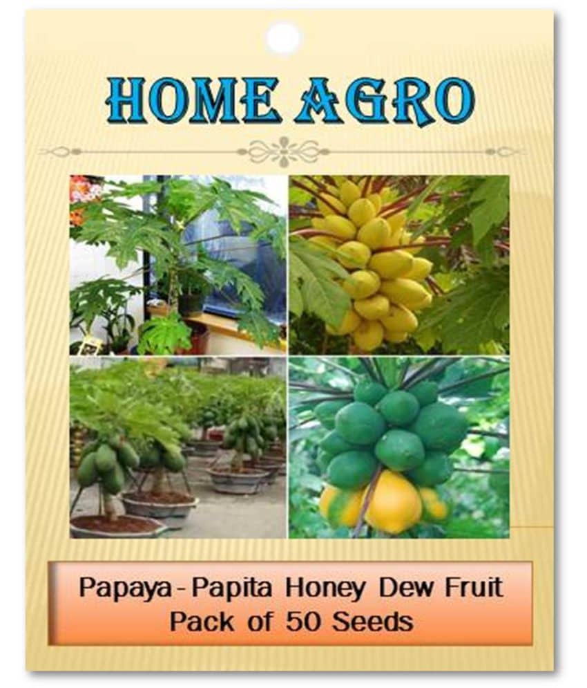 homeagro - Fruit Seeds ( 50 - seed )