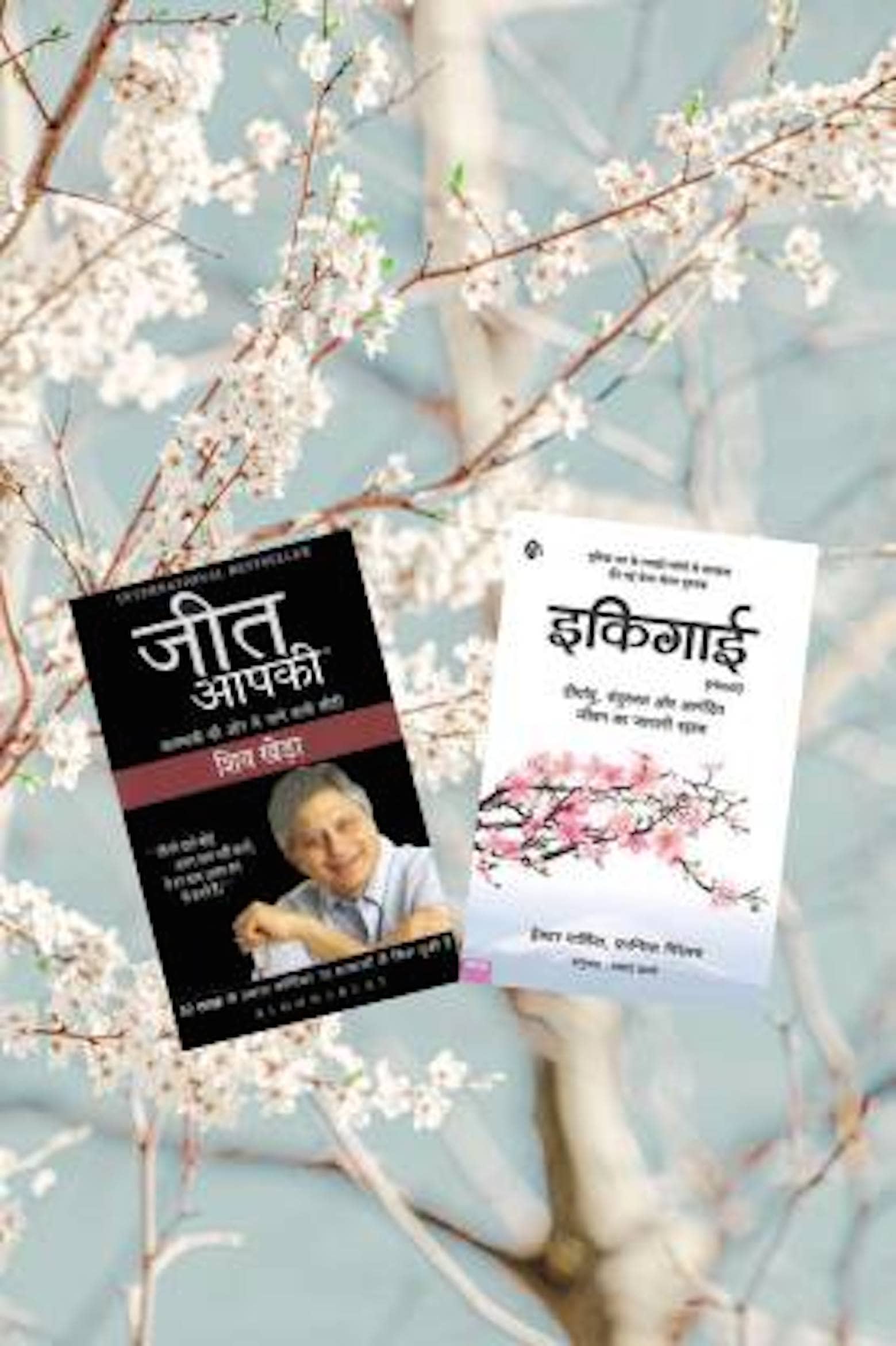 Jeet Aapki + Ikigai (Hindi)  (Paperback, Hindi, Shiv Khera, Hector Garcia) - Stationery | Buy online on ZillyBuy