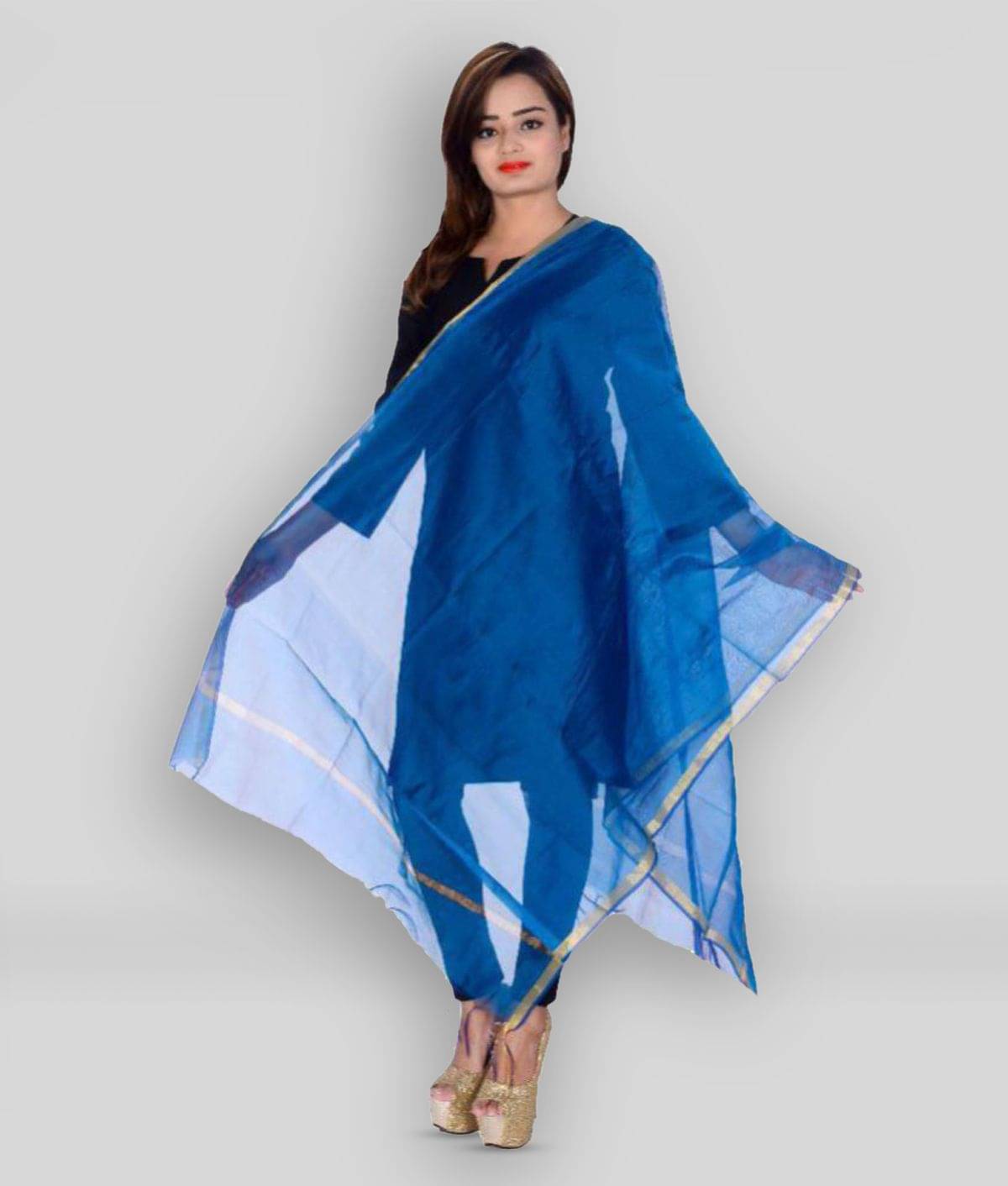     			Apratim Blue Chanderi Banarasi Dupatta