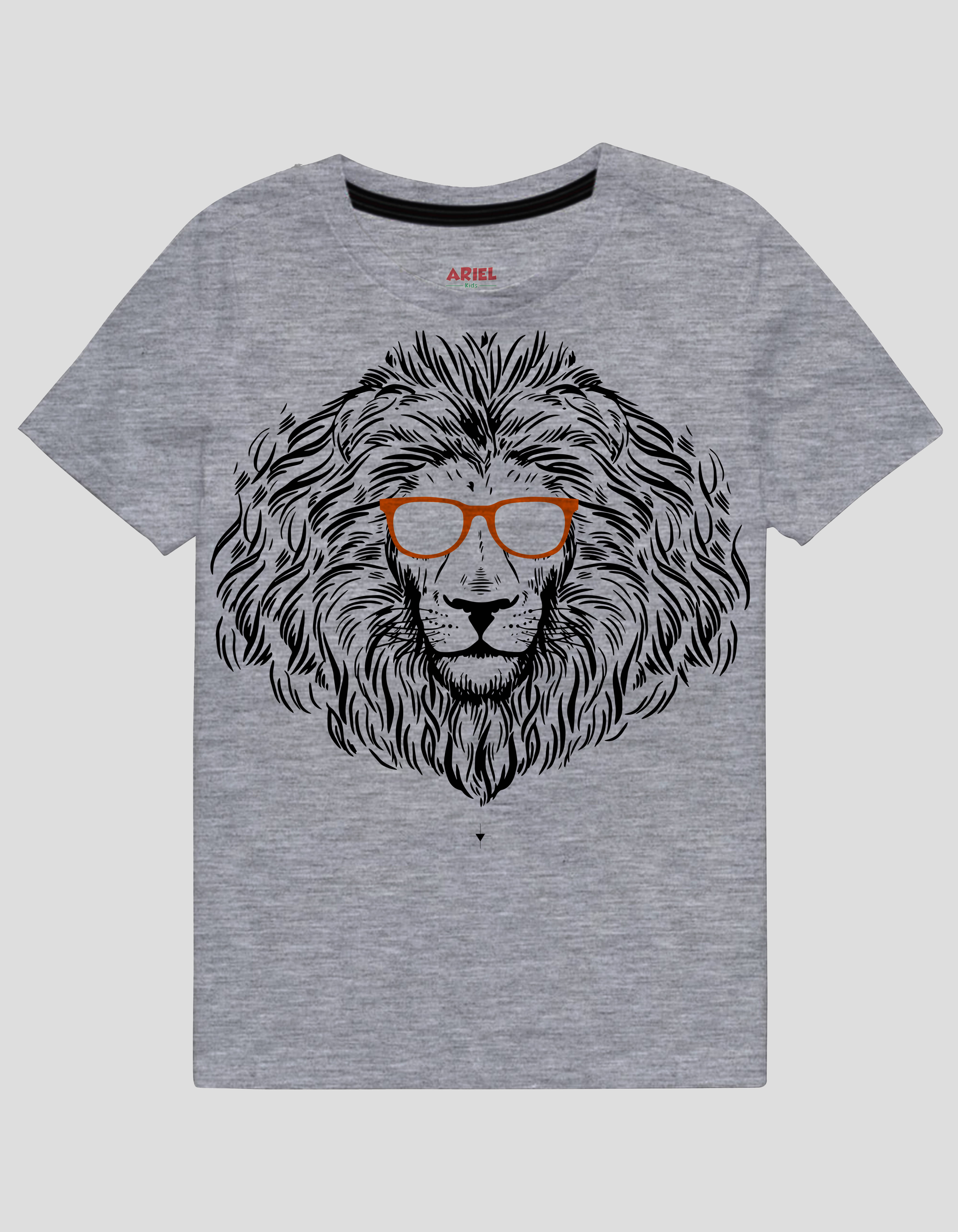     			Ariel Pack of 1 Boys Cotton T-Shirt ( Gray )