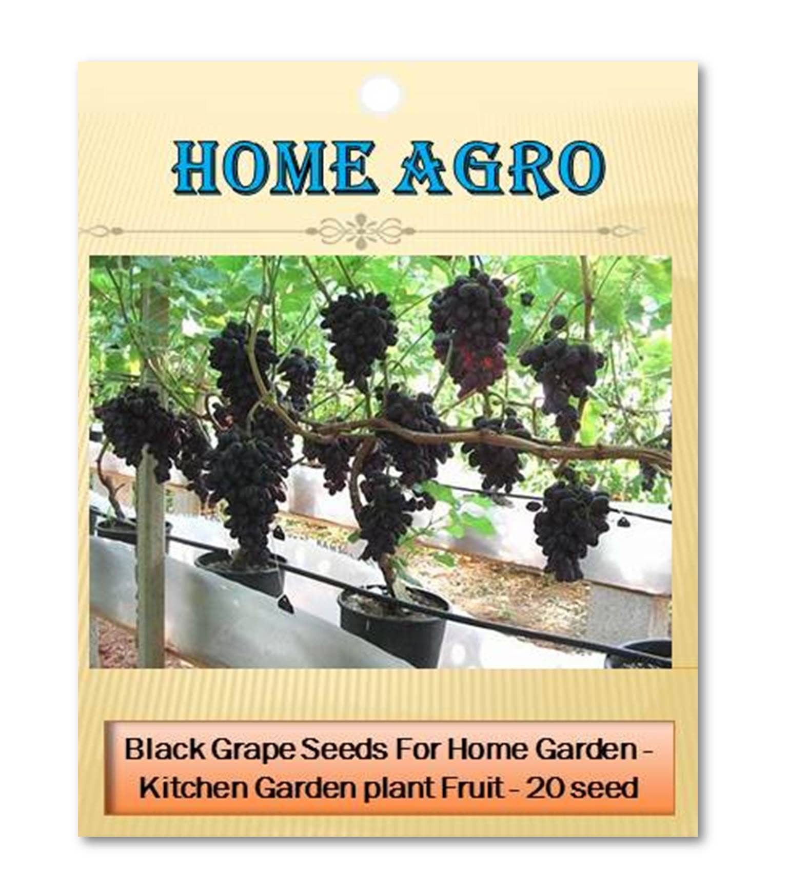 homeagro - Fruit Seeds ( 20 seeds )