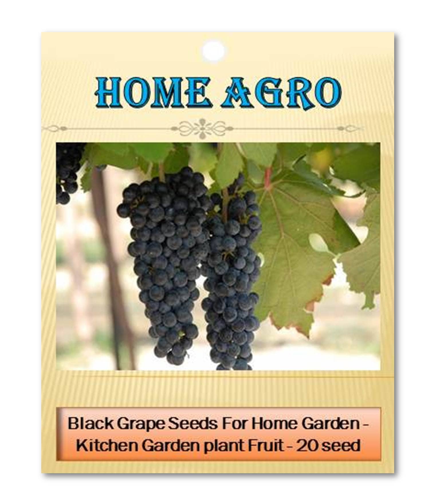homeagro - Fruit Seeds ( 20 seeds )