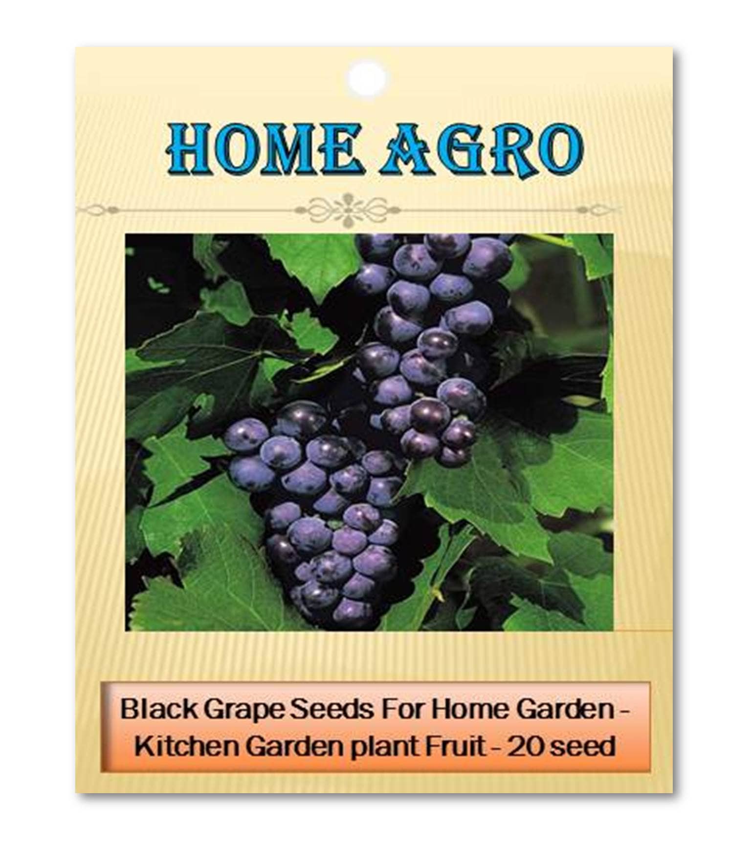 homeagro - Fruit Seeds ( 20 seeds )