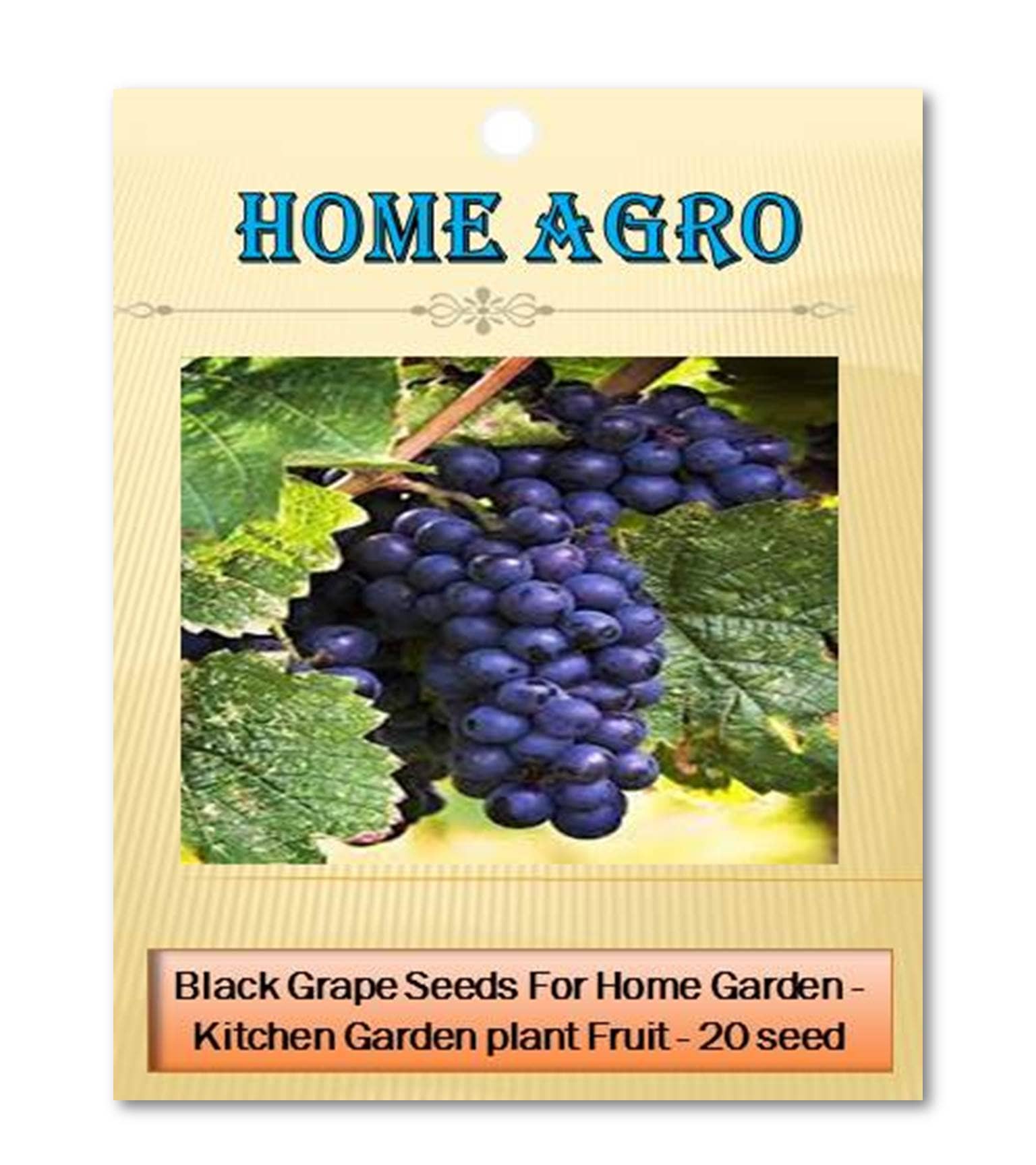 homeagro - Fruit Seeds ( 20 seeds )