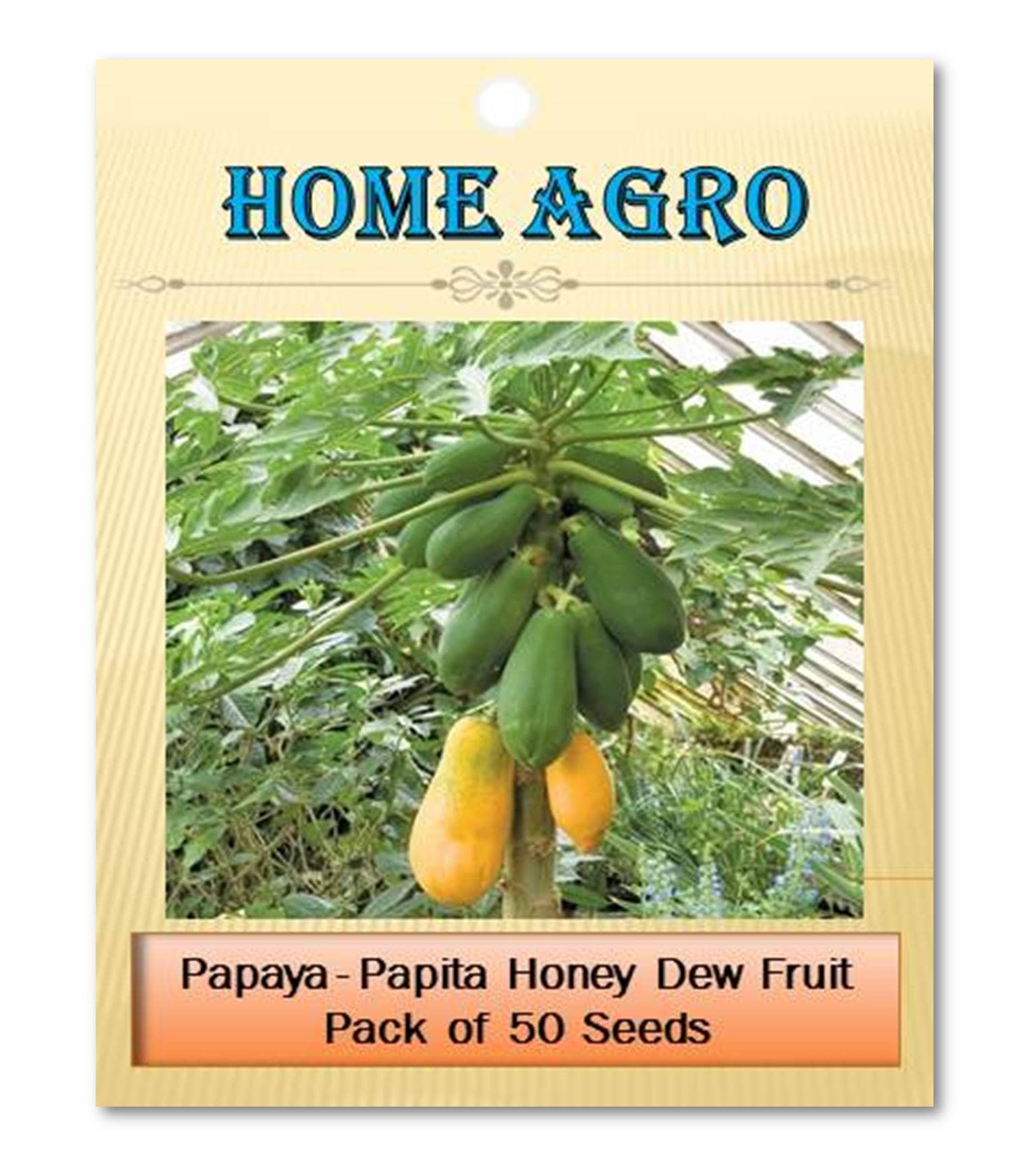 homeagro - Fruit Seeds ( 50 - seed )