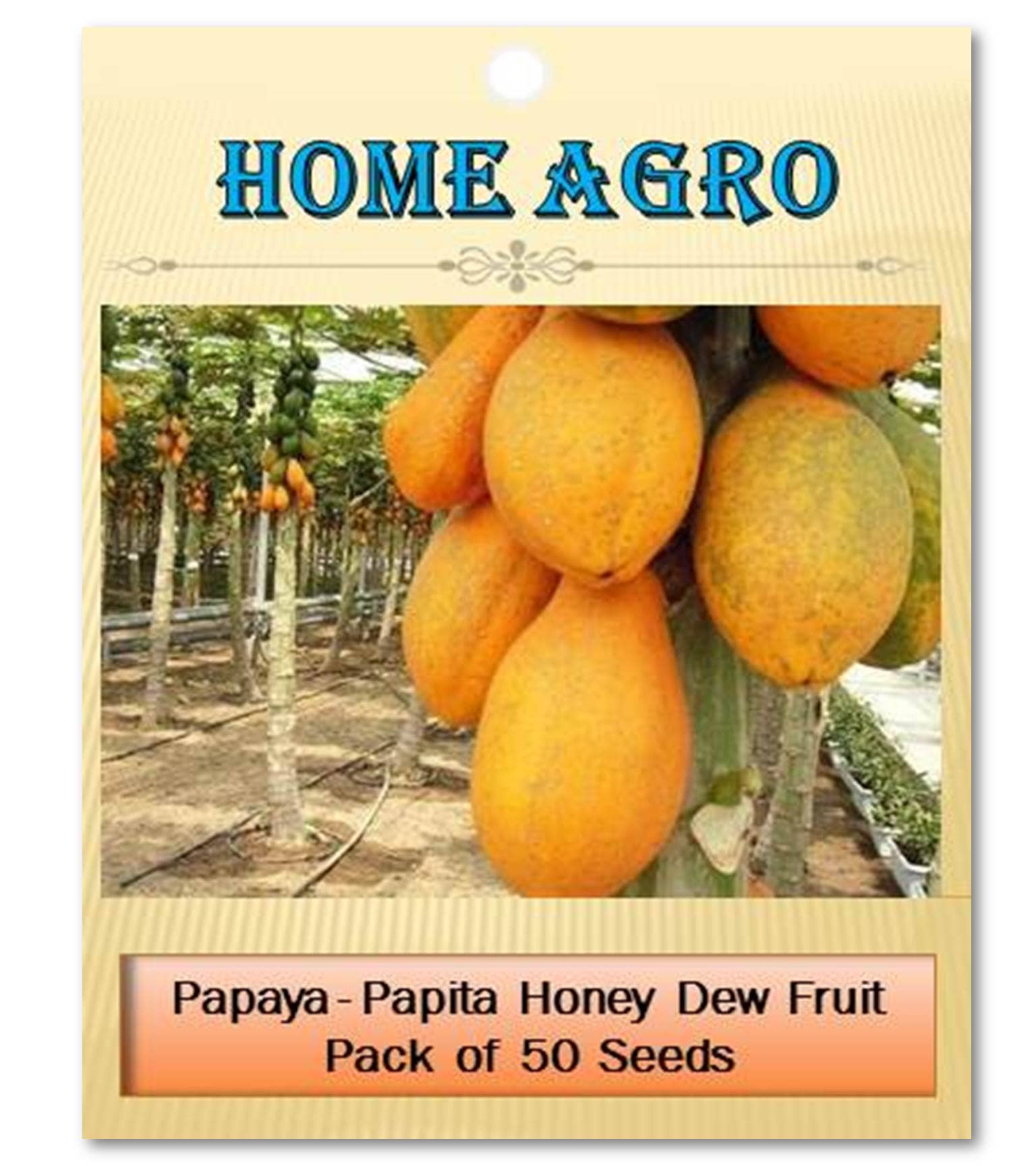 homeagro - Fruit Seeds ( 50 - seed )