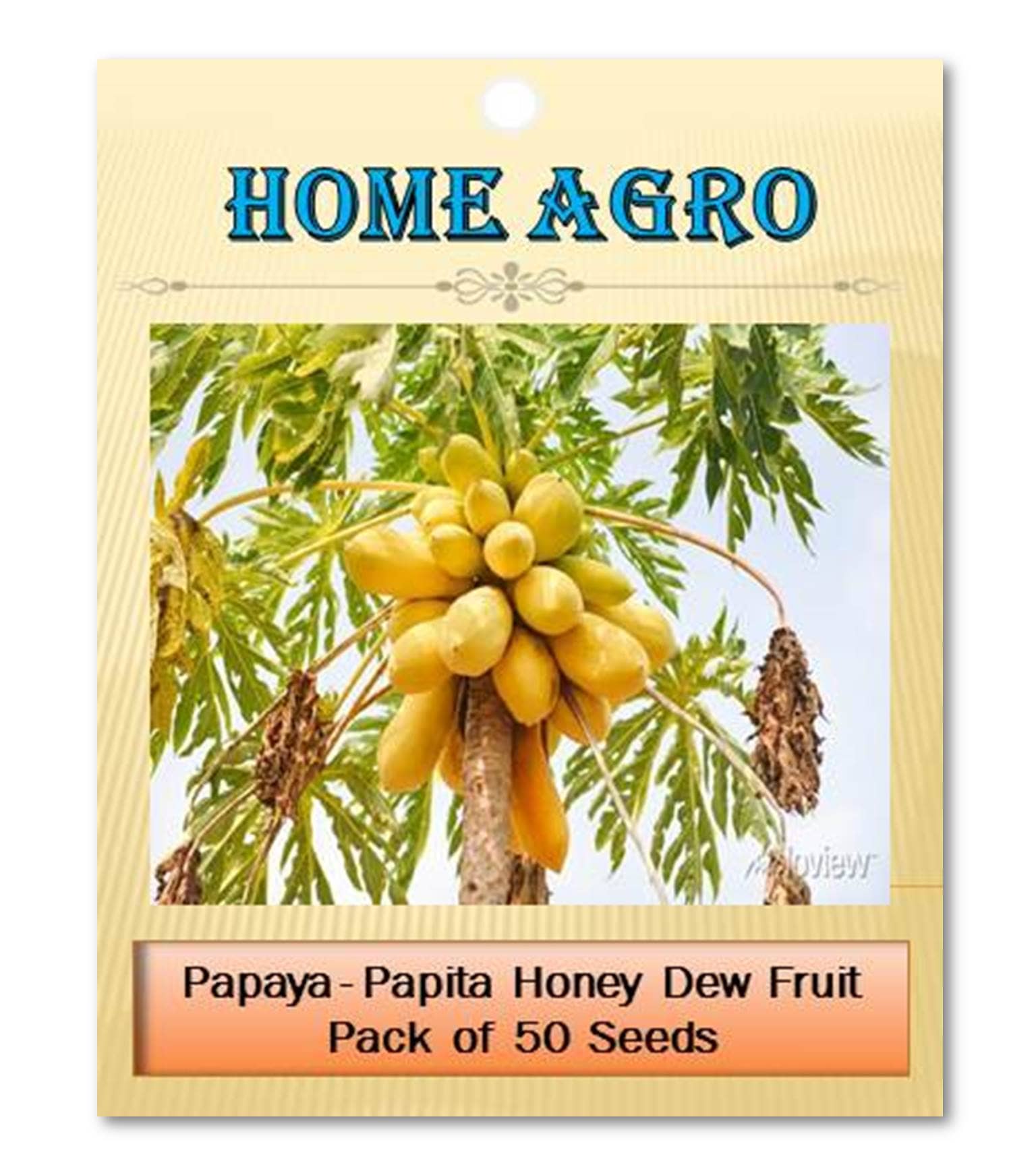 homeagro - Fruit Seeds ( 50 - seed )