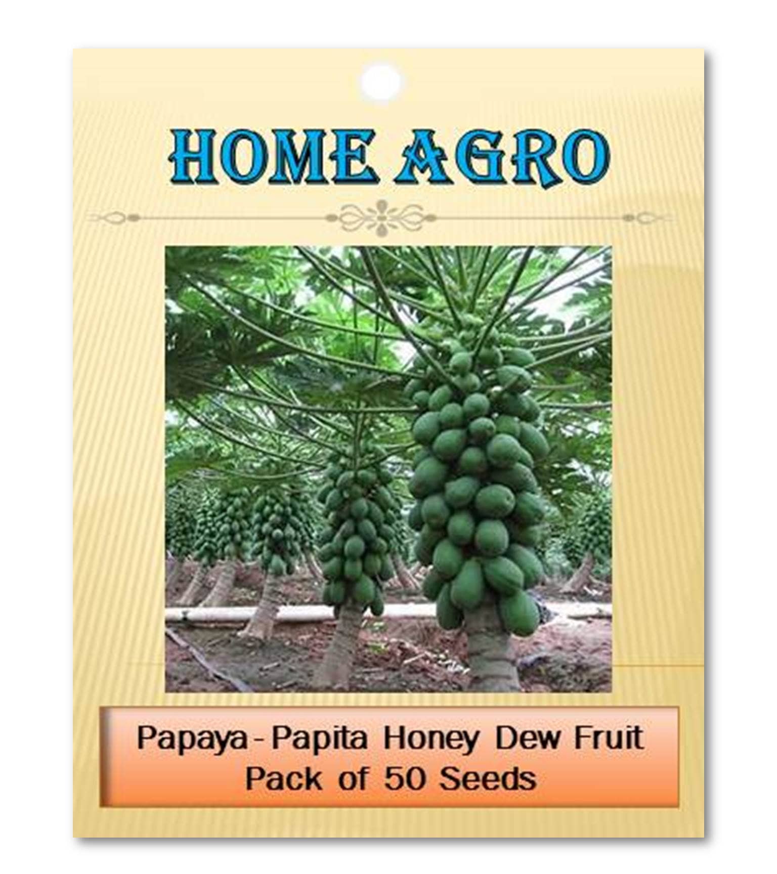 homeagro - Fruit Seeds ( 50 - seed )