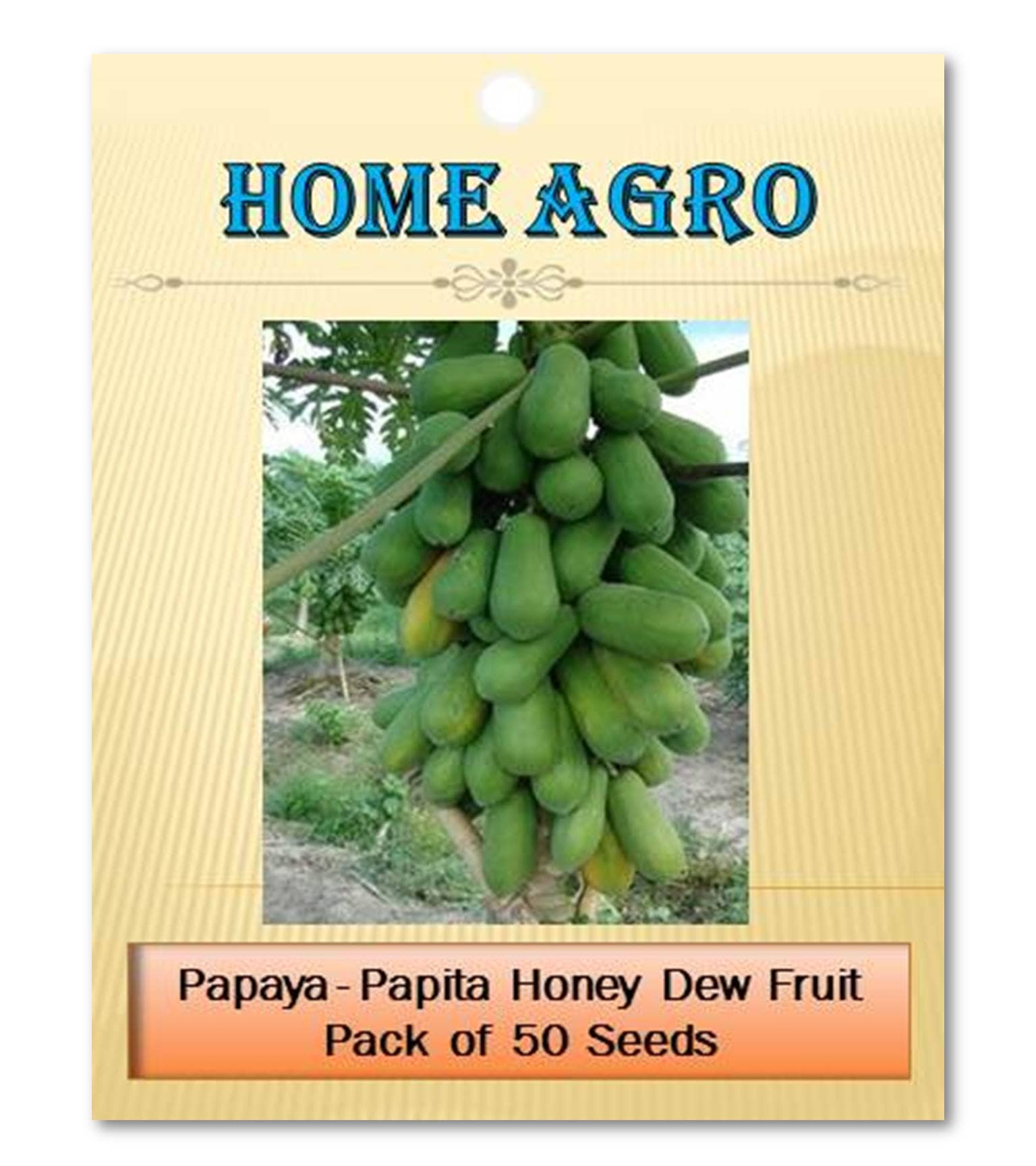 homeagro - Fruit Seeds ( 50 - seed )