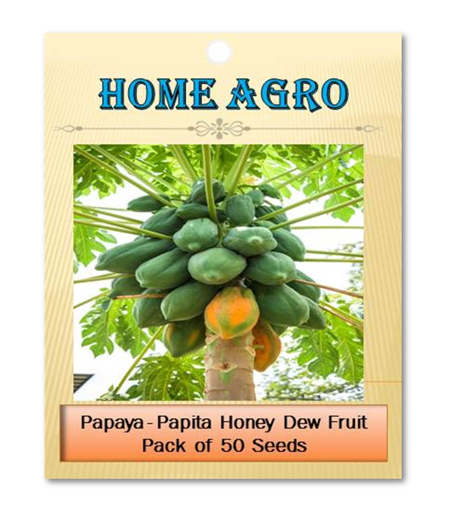 homeagro - Fruit Seeds ( 50 - seed )