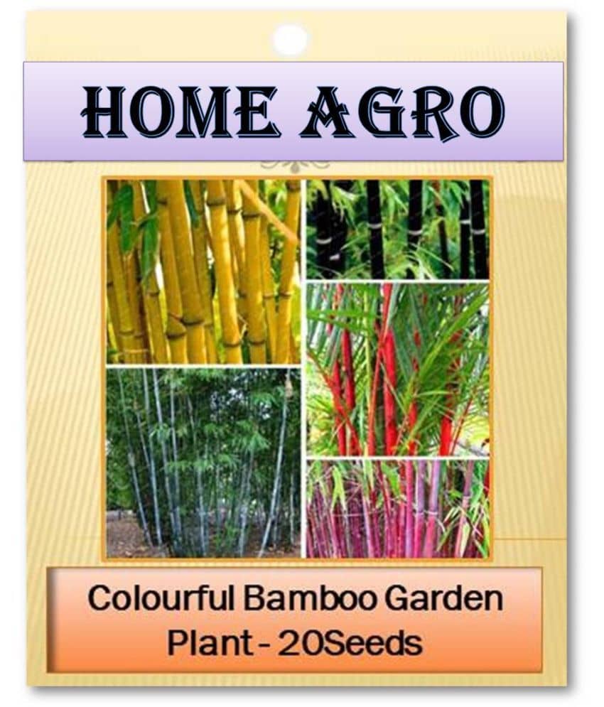 homeagro - Plant Seeds ( 20 )