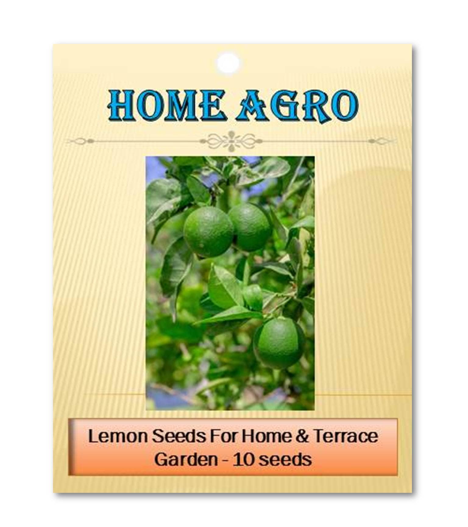 homeagro - Vegetable Seeds ( 10 seed )