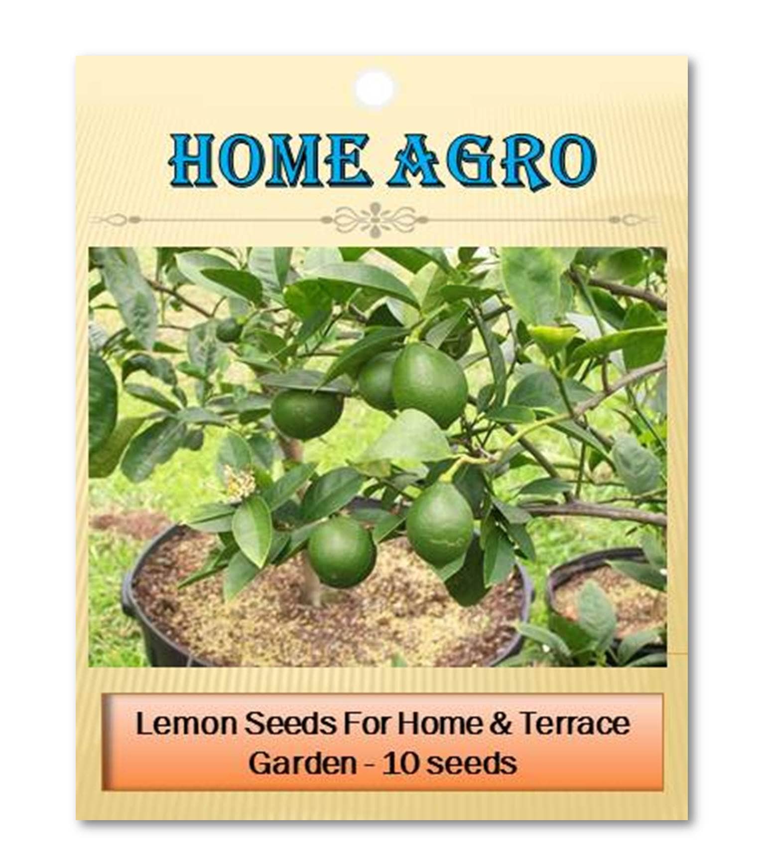 homeagro - Vegetable Seeds ( 10 seed )