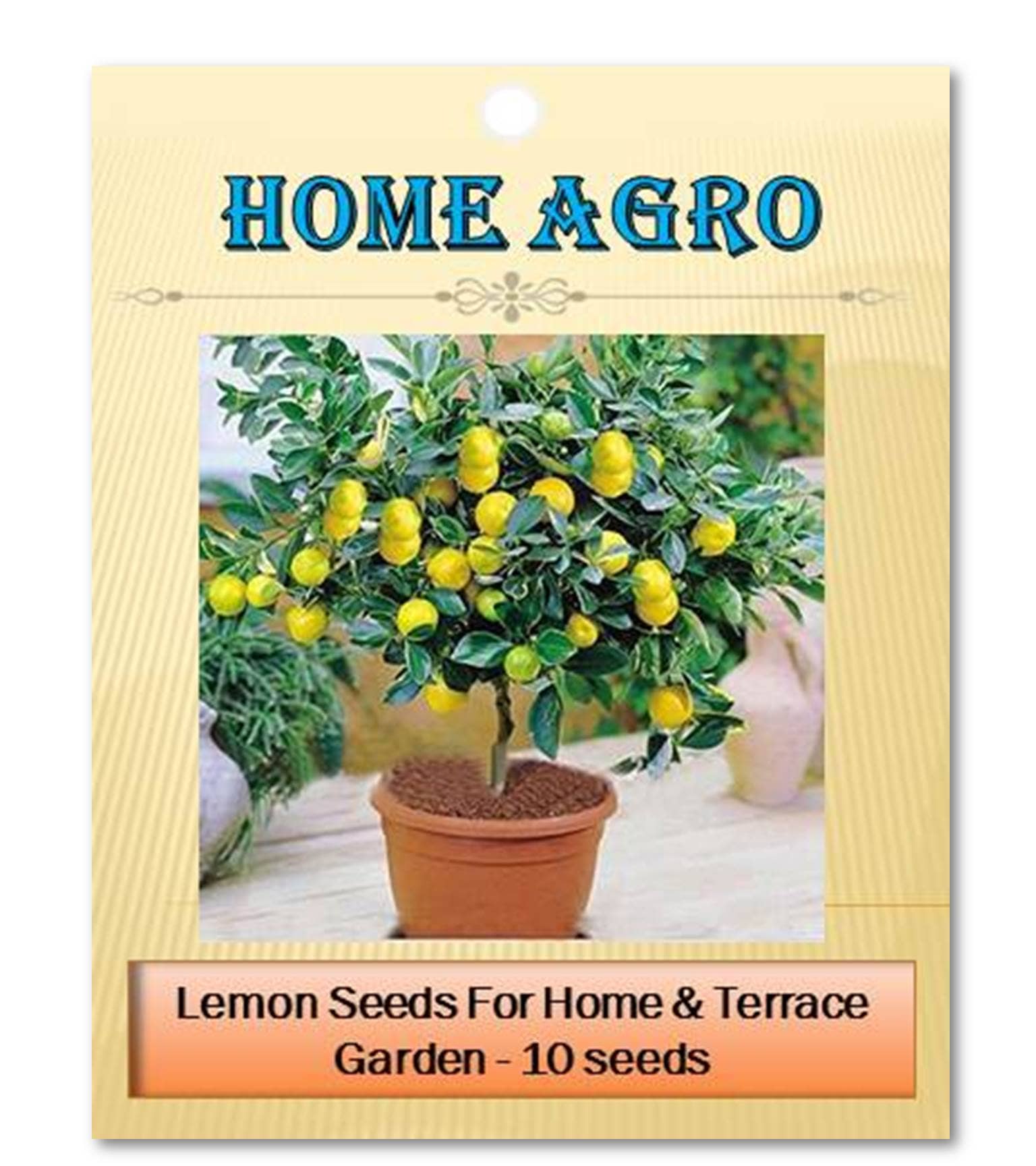 homeagro - Vegetable Seeds ( 10 seed )