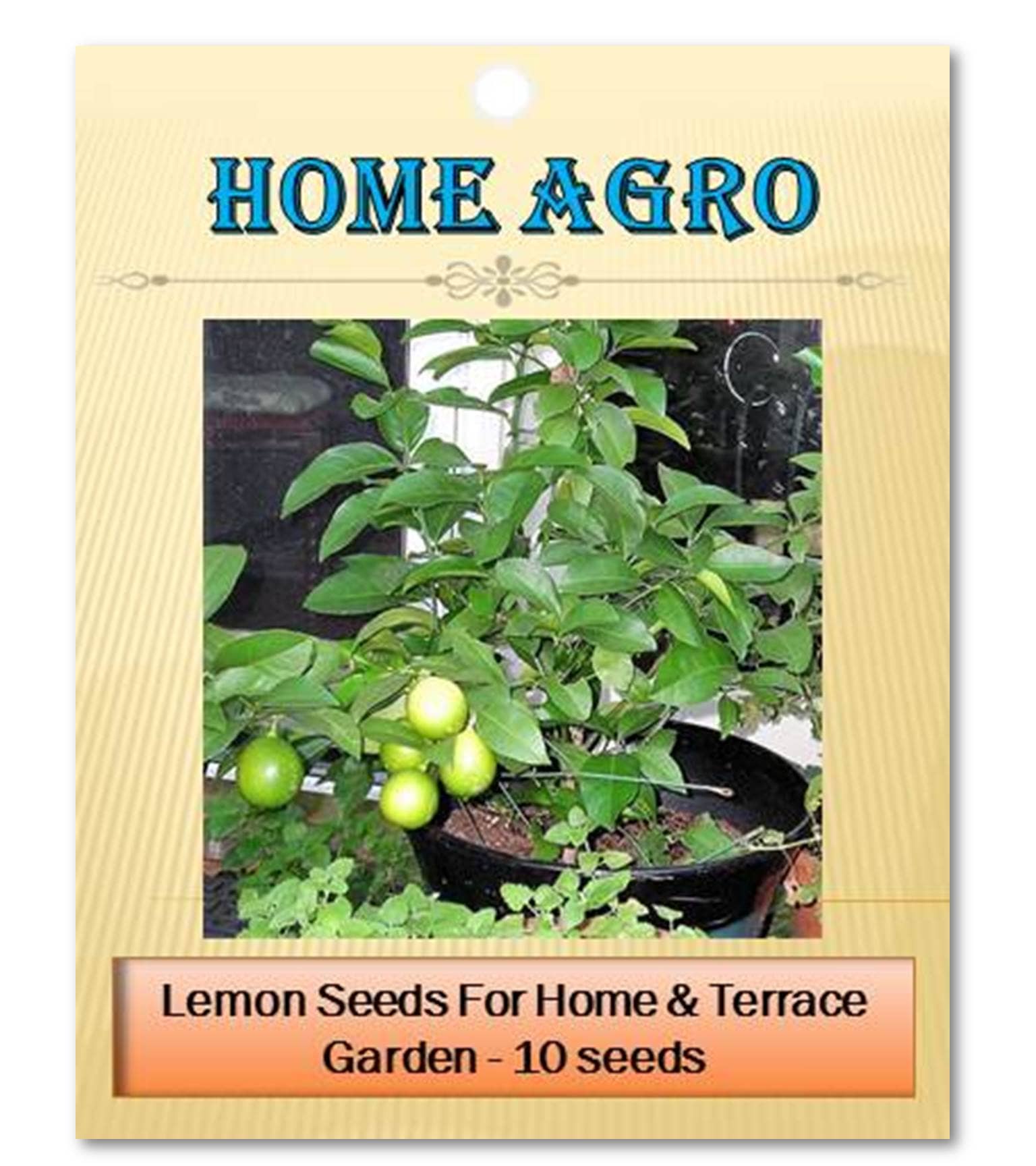 homeagro - Vegetable Seeds ( 10 seed )