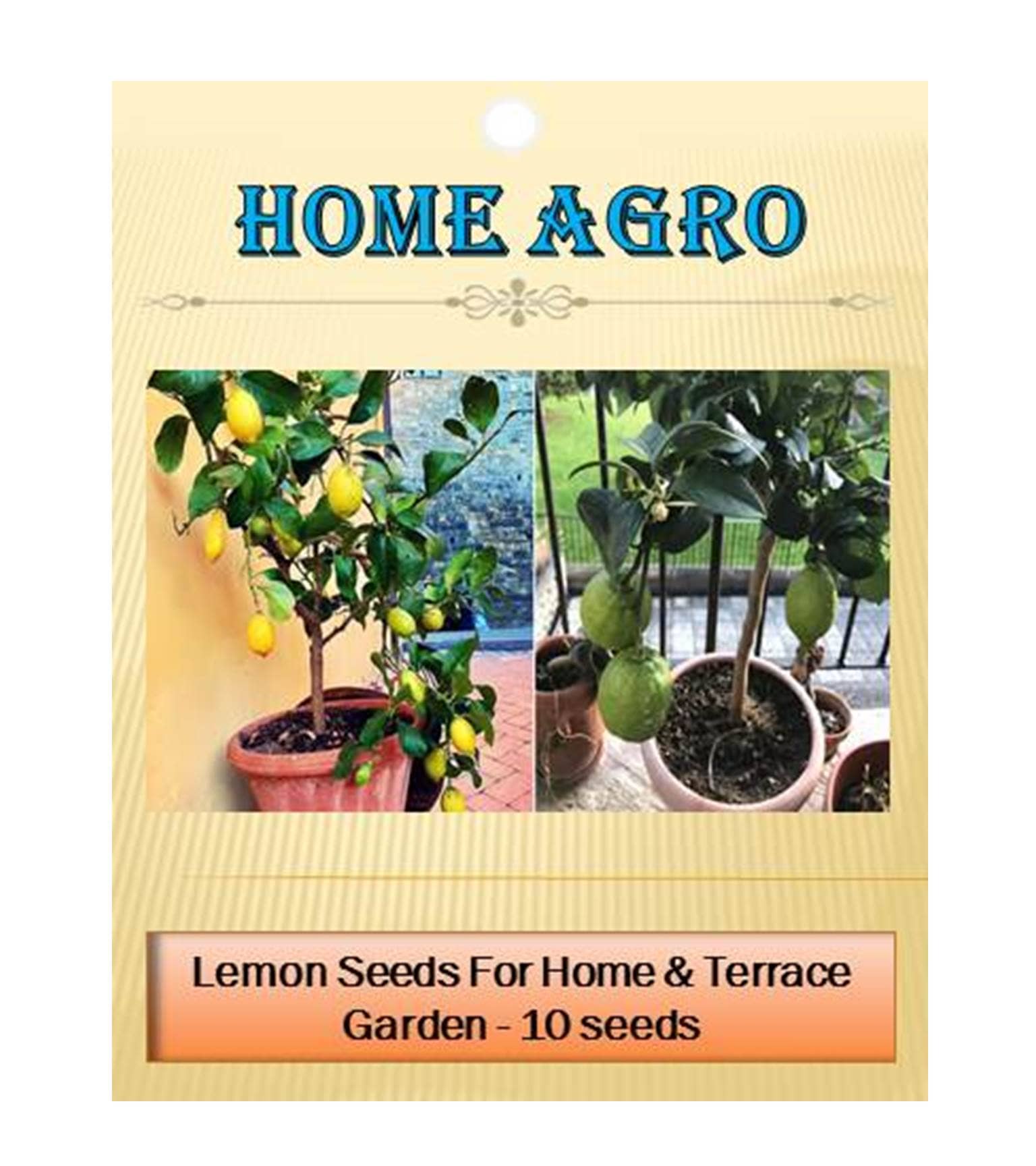 homeagro - Vegetable Seeds ( 10 seed )