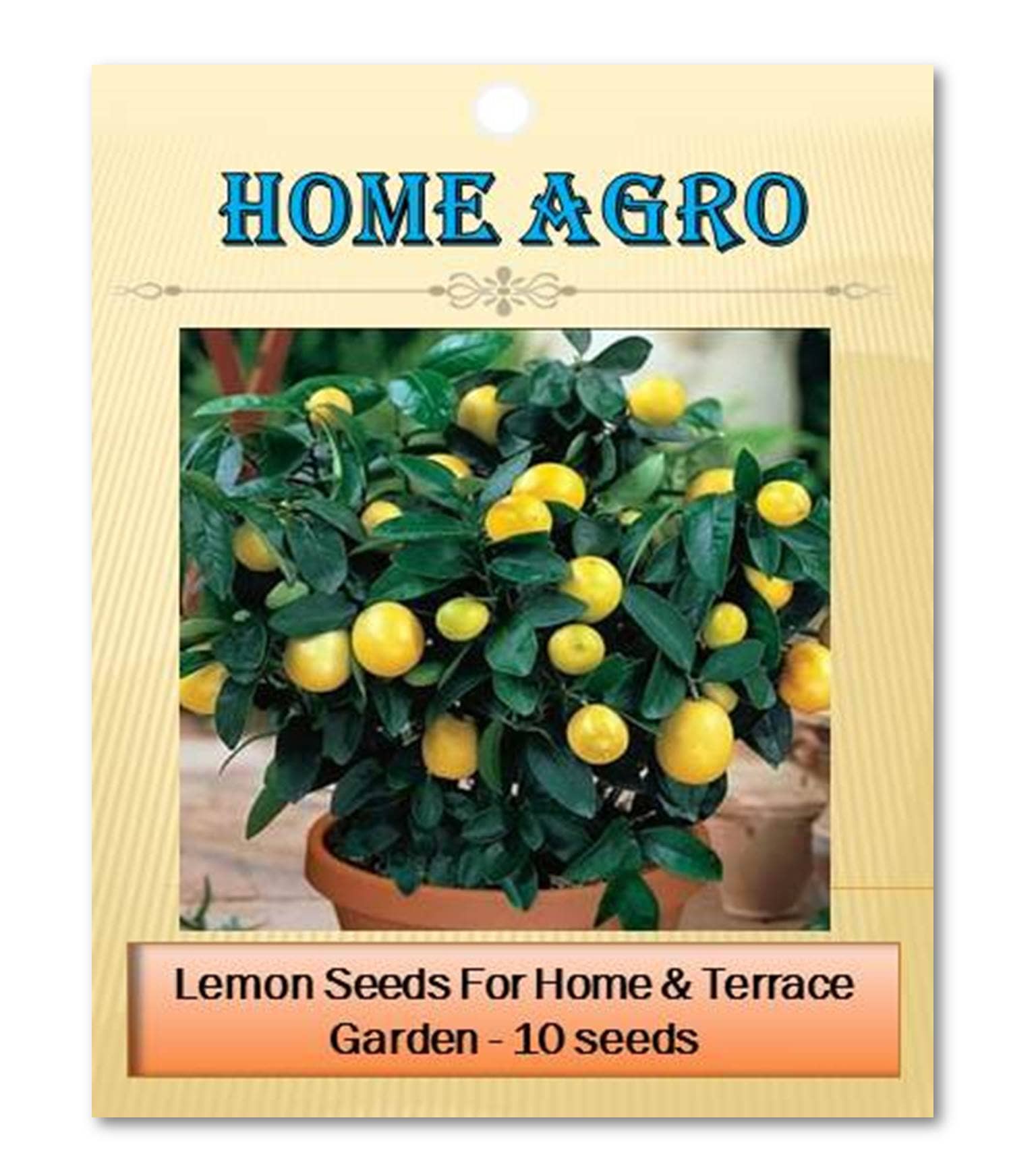 homeagro - Vegetable Seeds ( 10 seed )