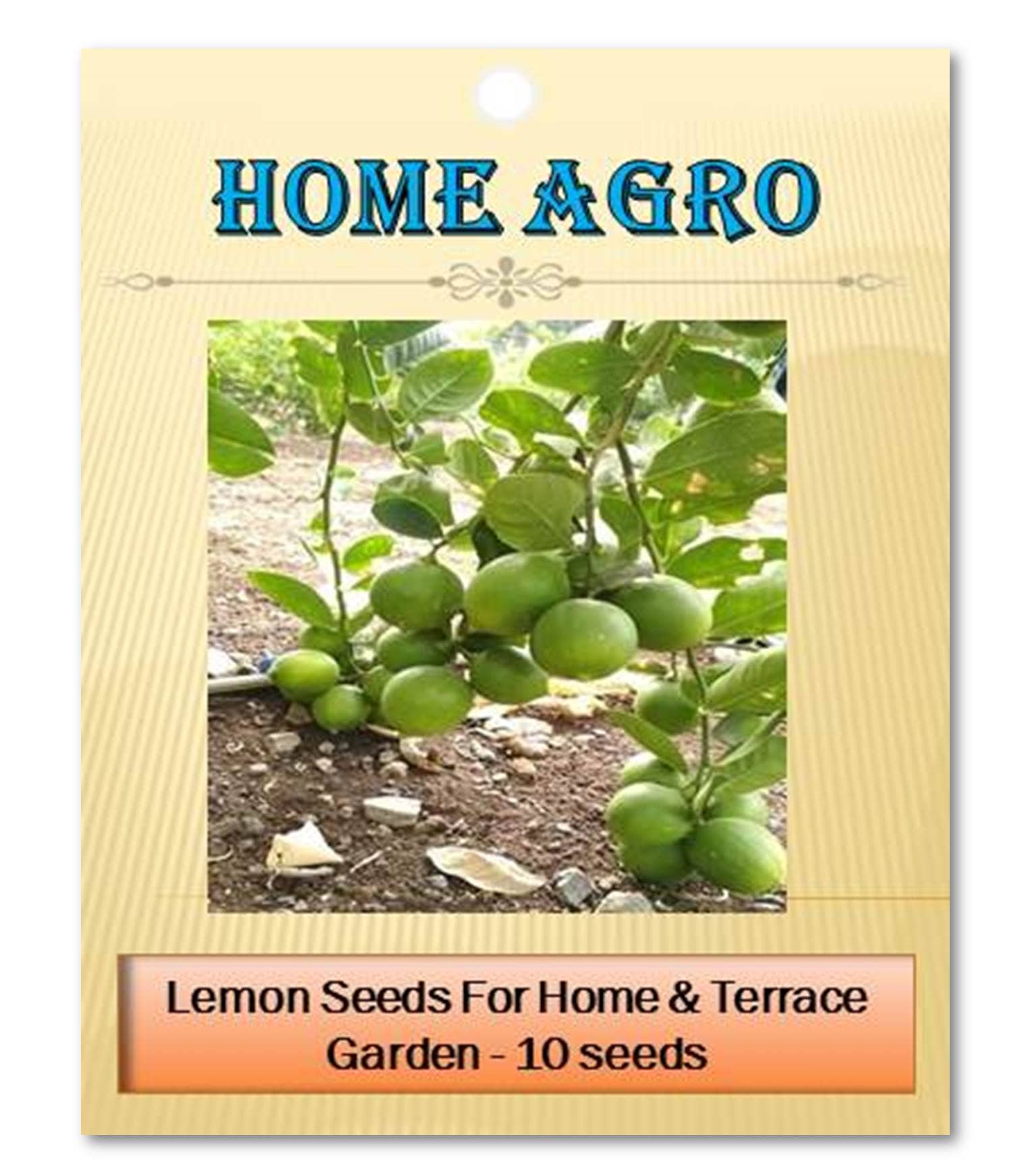 homeagro - Vegetable Seeds ( 10 seed )