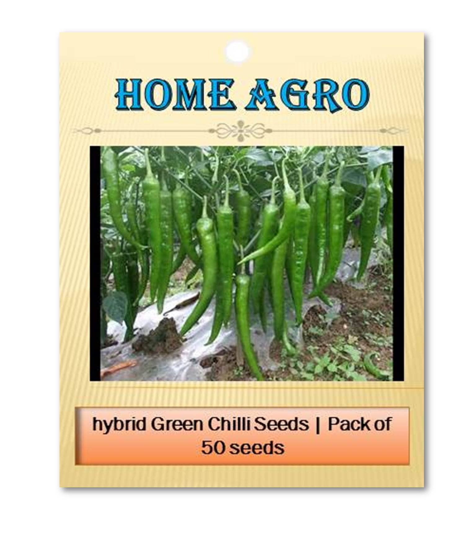 homeagro - Vegetable Seeds ( 50 seeds )
