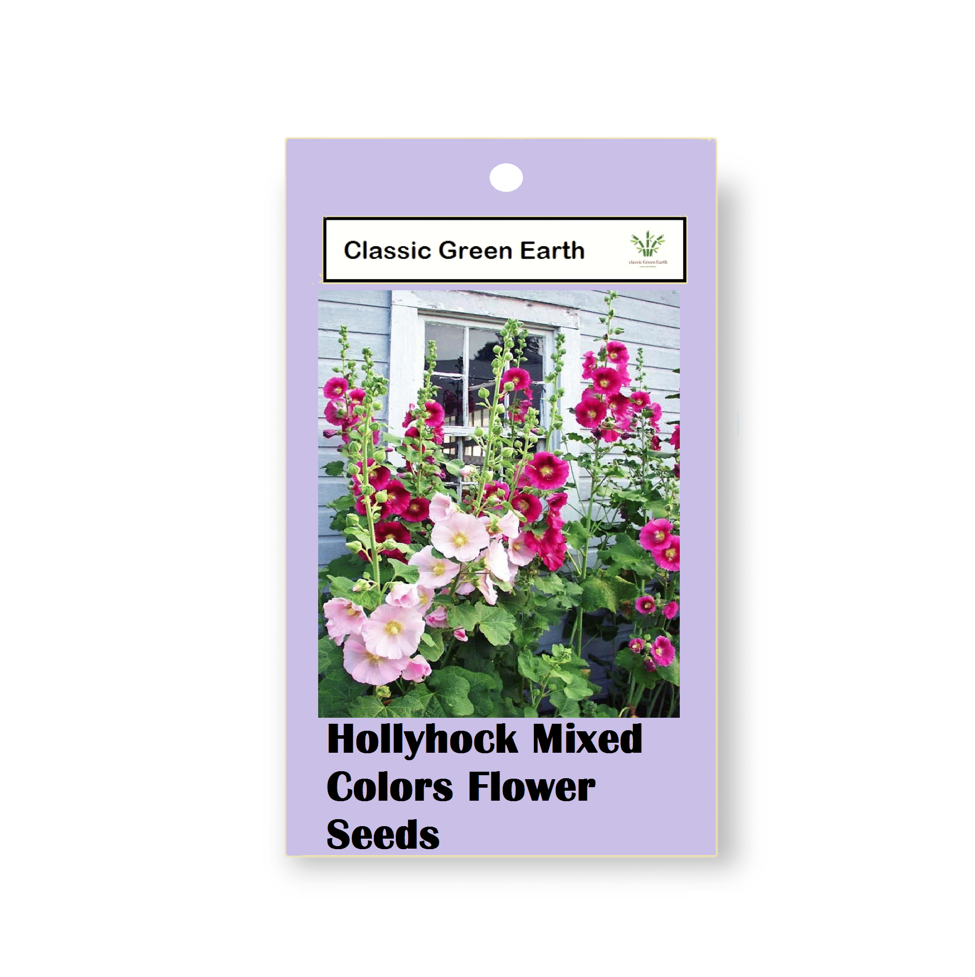     			CLASSIC GREEN EARTH - Flower Seeds ( Hollyhock Mixed Colors Flower 50 Seeds )