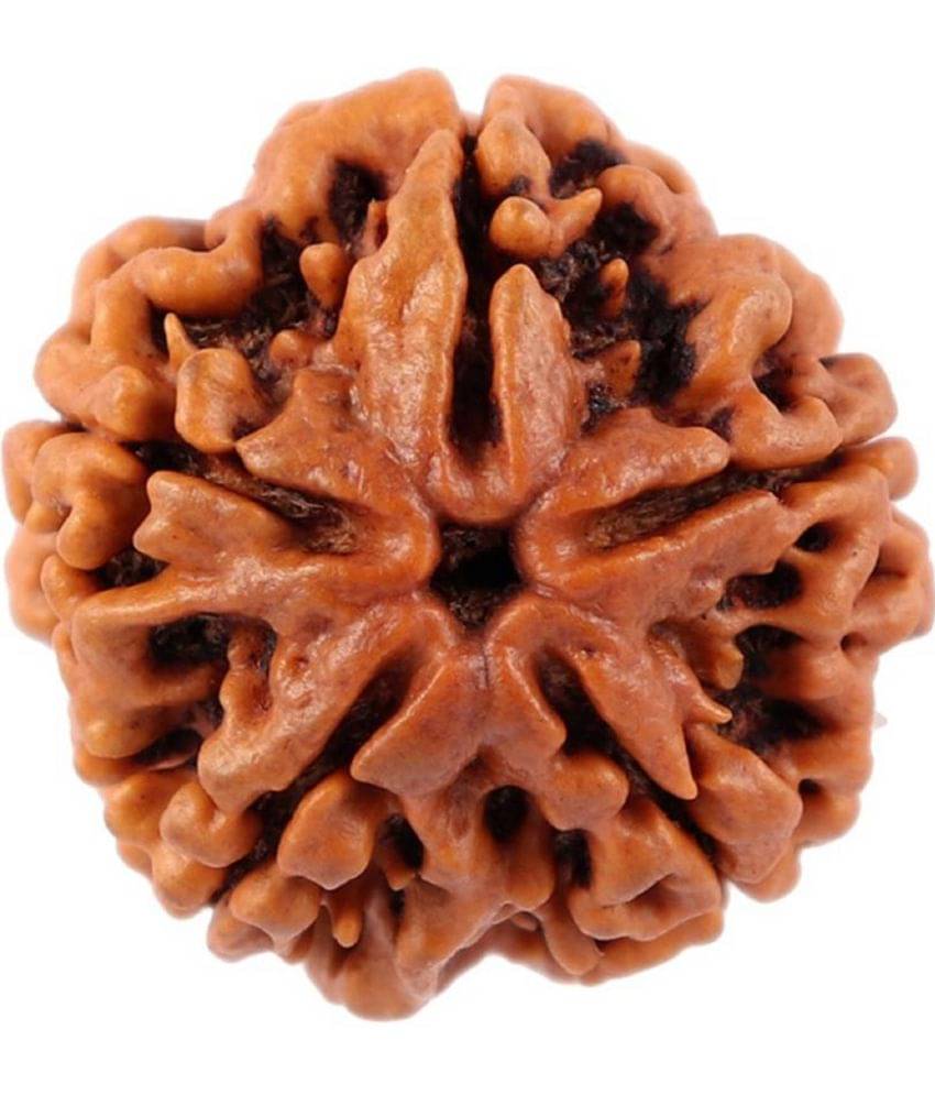     			NIVARAN - 5 Mukhi Bead ( Pack of 1 )
