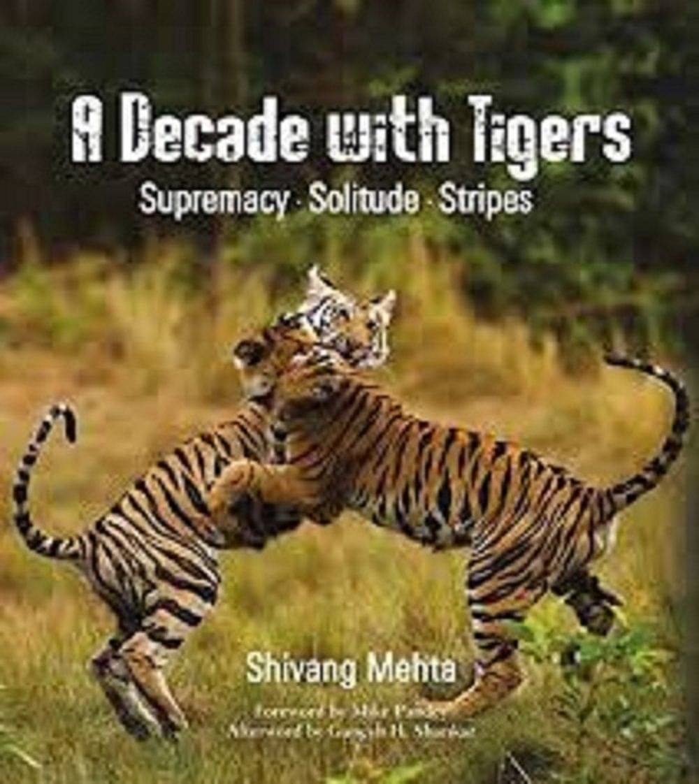     			A DECADE WITH TIGERS  ( SUPREMACY . SOLITUDE . STRIPES)