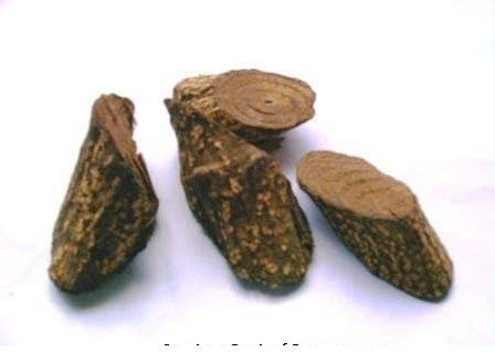     			Nutrixia Food Dantimool - Danti Mool - Danti- Hakum - Wild Castor 100 gm