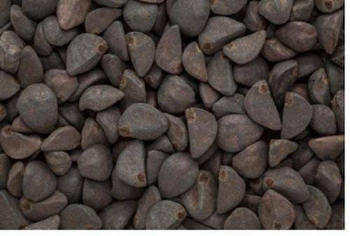 Nutrixia Food Kala Dana - Kala Dana Chota - Black Seeds - ipomoea Hederocea 100 gm     			Nutrixia Food Kala Dana - Kala Dana Chota - Black Seeds - ipomoea Hederocea 100 gm