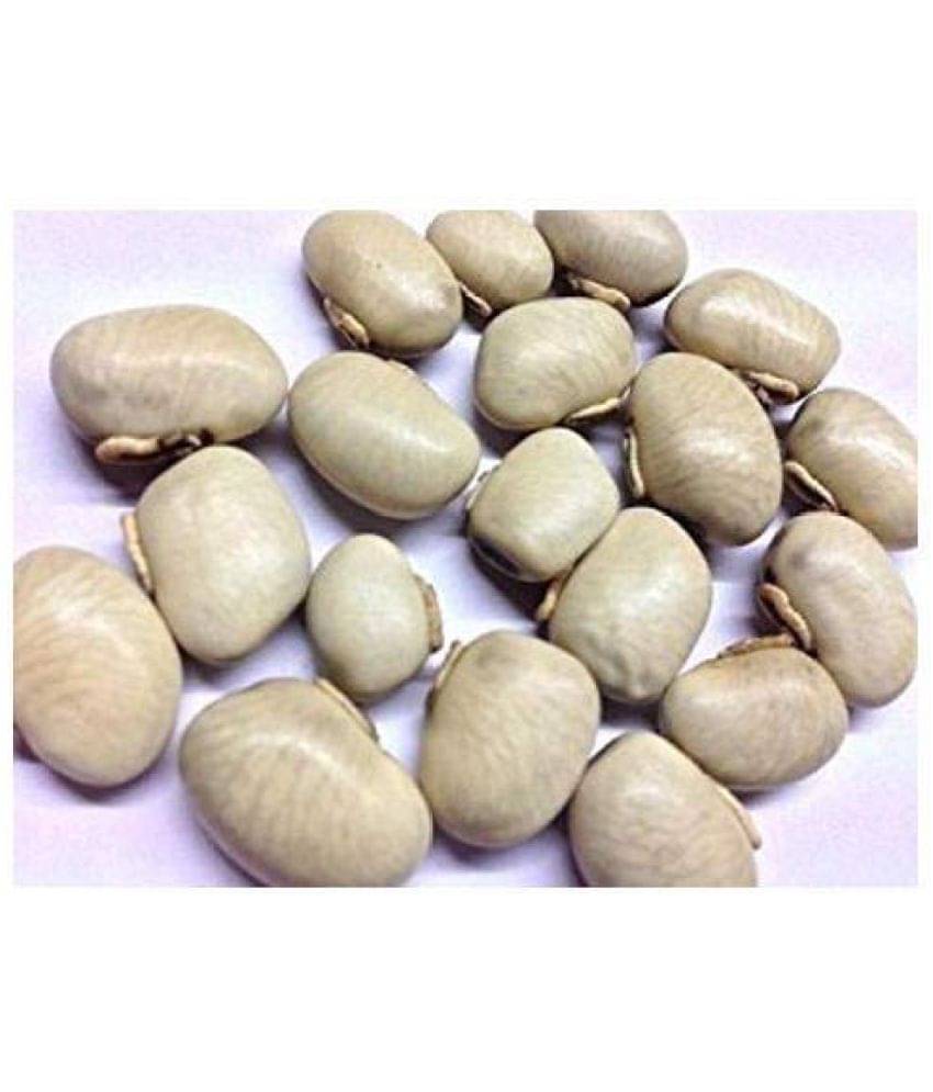 Nutrixia Food Kauch Beej/कौच बीज/Konch/Mucuna pruriens/Kaunch Seeds 100 gm Nutrixia Food Kauch Beej/कौच बीज/Konch/Mucuna pruriens/Kaunch Seeds 100 gm