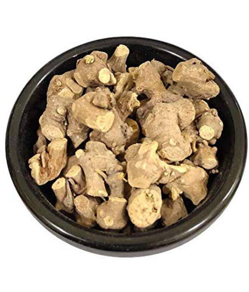 Nutrixia Food Piplamool Ganthoda Pipal Mul Pipla Mool Pipalmool Piplamul 100 gm Nutrixia Food Piplamool Ganthoda Pipal Mul Pipla Mool Pipalmool Piplamul 100 gm