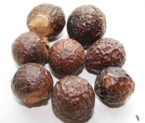 Nutrixia Food Soap nut/सोप अखरोट/Rita/Sapindus/REETHA/रीठा / aritha 100 gm Nutrixia Food Soap nut/सोप अखरोट/Rita/Sapindus/REETHA/रीठा / aritha 100 gm