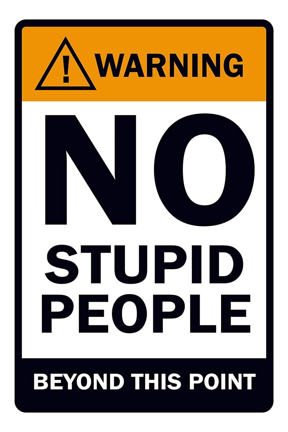     			Asmi Collection No Stupid People Beyond This Point Self Adhesive Wall Sticker ( 45 x 30 cms )