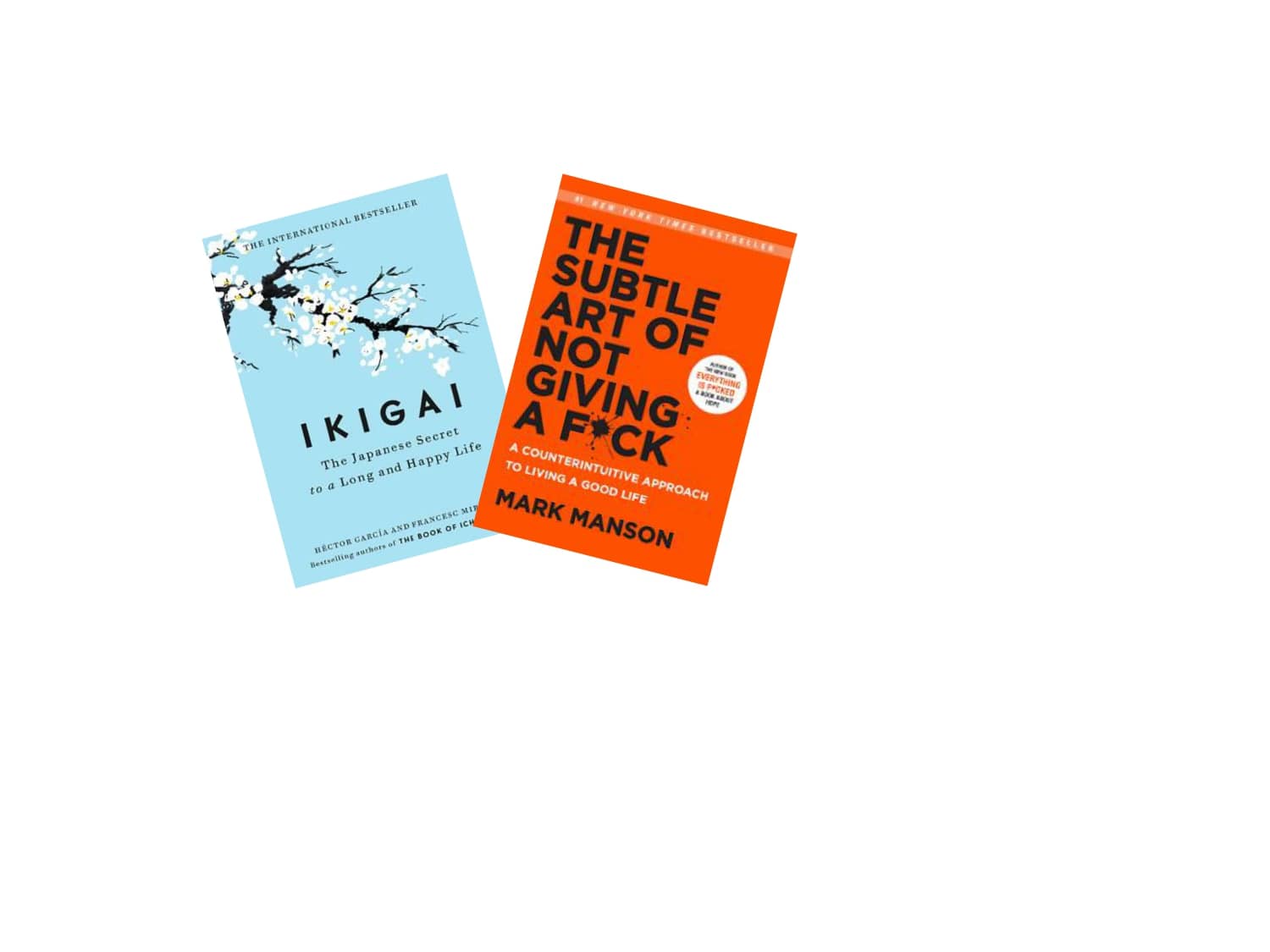 ikigai + The subtle art - Stationery | Buy online on ZillyBuy