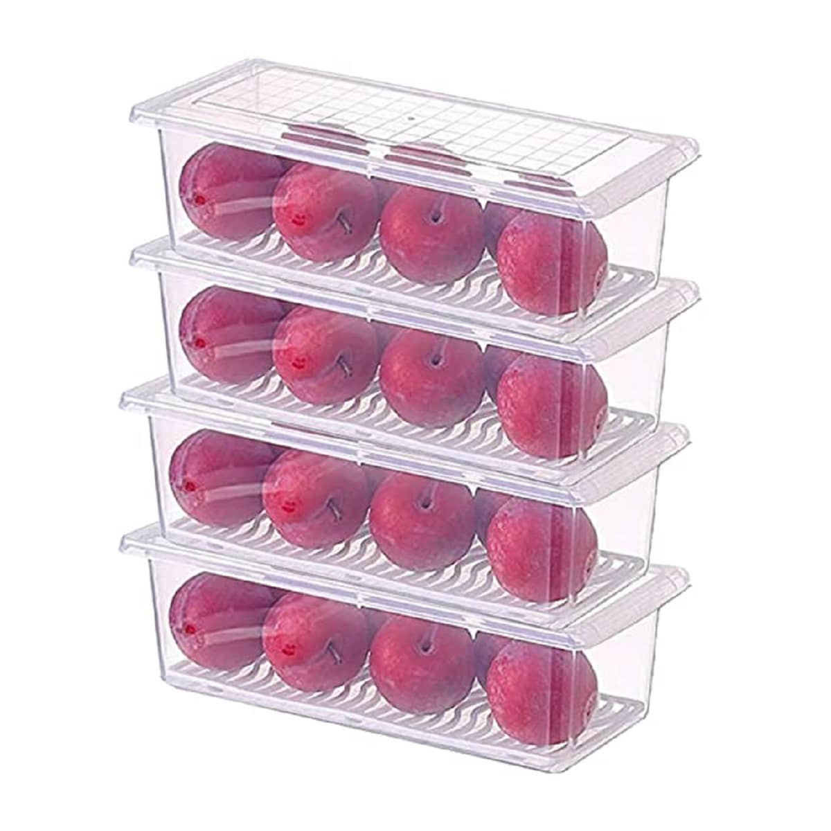 Analog Kitchenware Veg./Fruit/Fish/Meat Plastic Transparent Food Container ( Set of 4 )