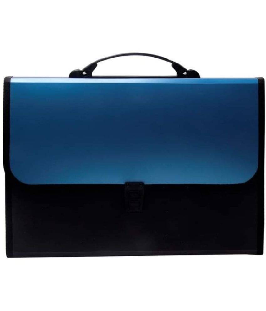 FSN - Multicolor Expandable File ( Pack of 1 ) FSN - Multicolor Expandable File ( Pack of 1 )