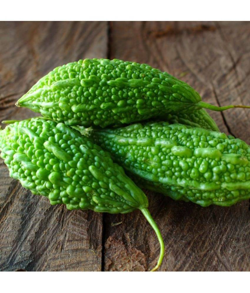     			Vrisa Green - Bitter Gourd Vegetable ( 50 Seeds )