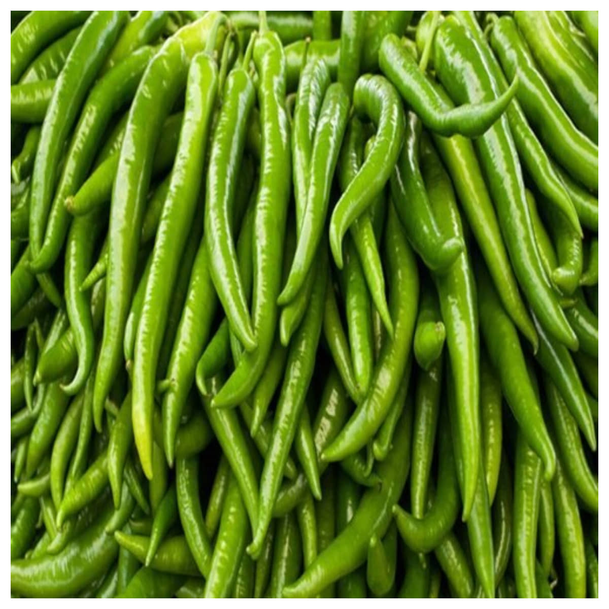 homeagro - Chilli Vegetable ( 50 Seeds )