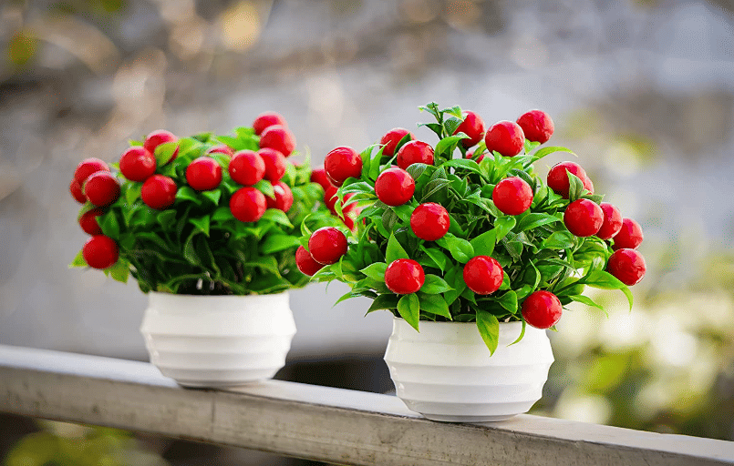     			zonezer - Multicolor Cherry Blossom Artificial Flower ( Pack of 2 )