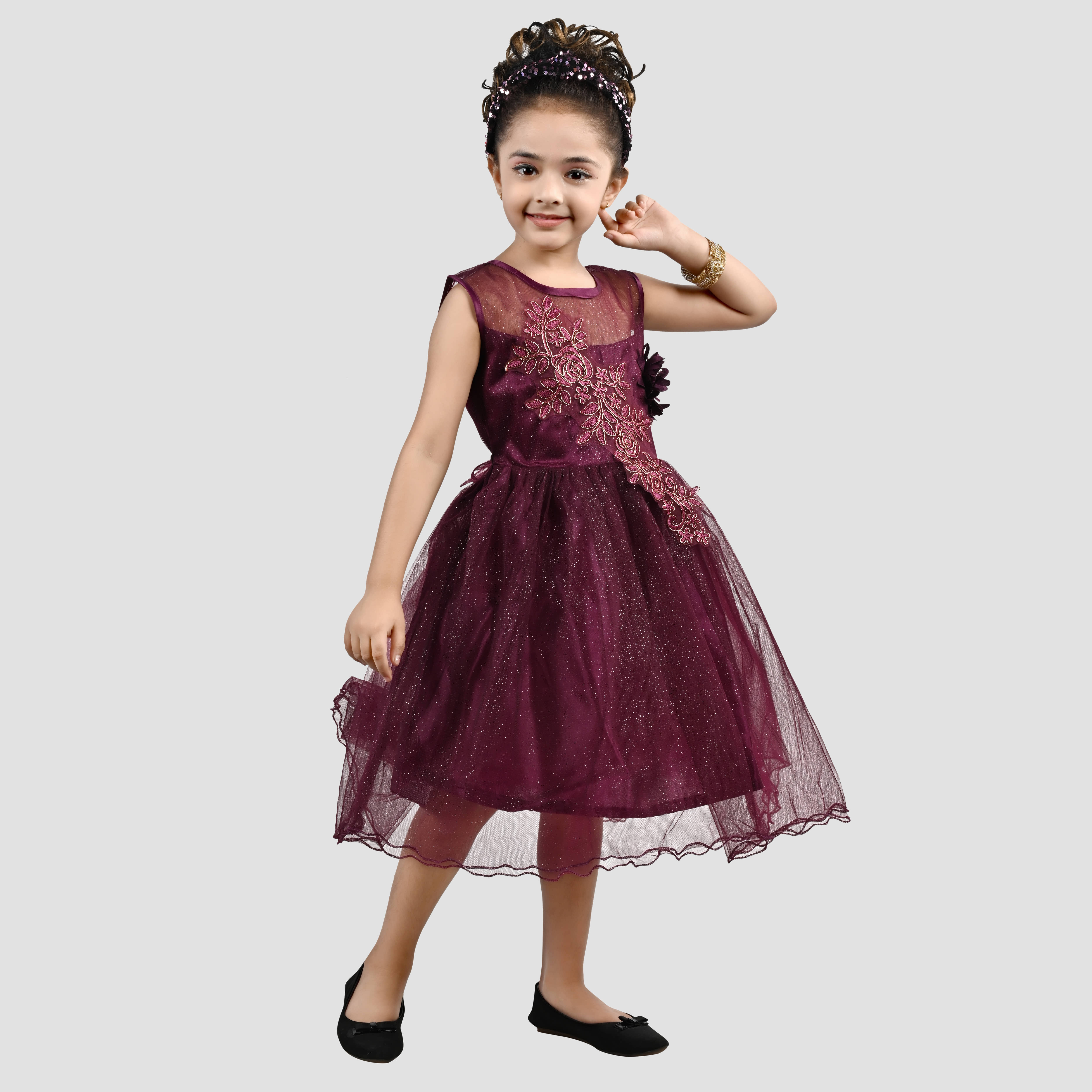 Arshia Fashions Net Frock For Girls ( Pack of 1 , Wine )