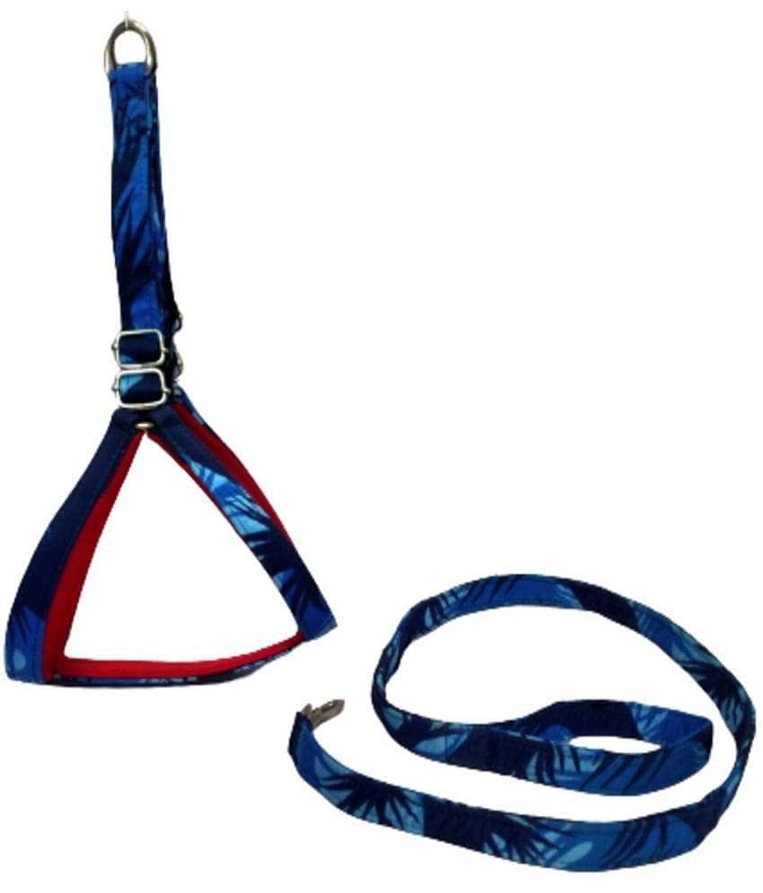 Cocker - Blue Combo ( Medium ) Cocker - Blue Combo ( Medium )