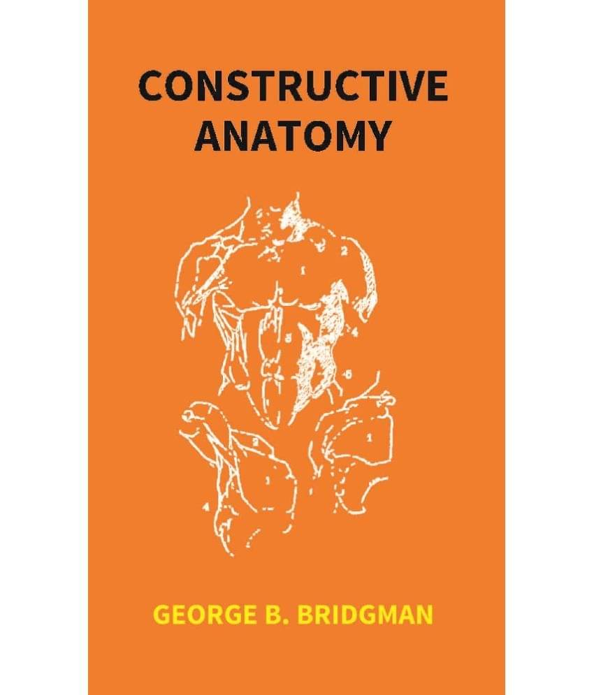     			Constructive Anatomy