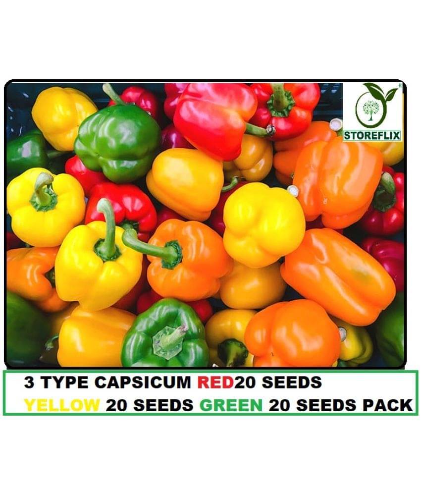 3 DIFFERENT TYPE MIX VARIETY CAPSICUM SHIMLA MIRCH VEGETABLE PLANT SEEDS COMBO PACK RED YELLOW GREEN 20 -20 SEEDS OF EACH ONE (60 SEEDS PACK )WITH USER MANUAL FOR INDOOR OUTDOOR HOME KITCHEN GARDENING USE 3 DIFFERENT TYPE MIX VARIETY CAPSICUM SHIMLA MIRCH VEGETABLE PLANT SEEDS COMBO PACK RED YELLOW GREEN 20 -20 SEEDS OF EACH ONE (60 SEEDS PACK )WITH USER MANUAL FOR INDOOR OUTDOOR HOME KITCHEN GARDENING USE