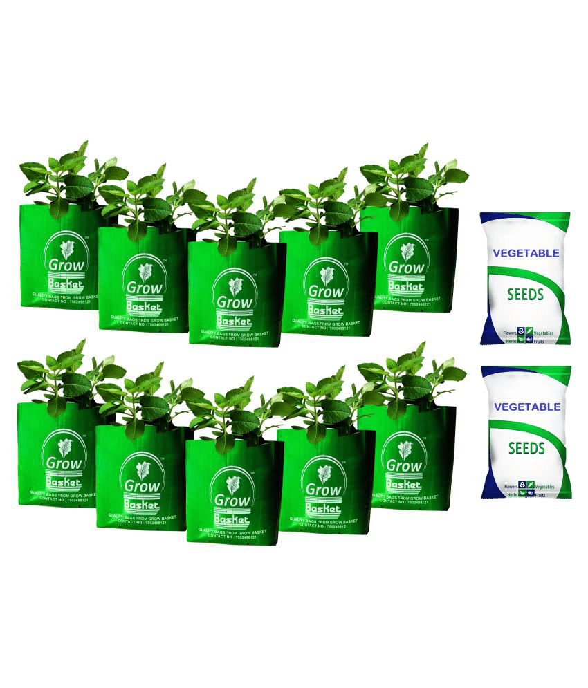 Grow bags for terrace gardening 10 bags(40x24x24cm) with 2 Vegetables...